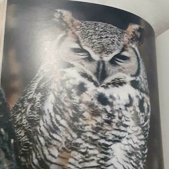 The Evolution of the Calgary Zoo (2007) 1st Edition by Tyler Trafford - Picture 3 of 9